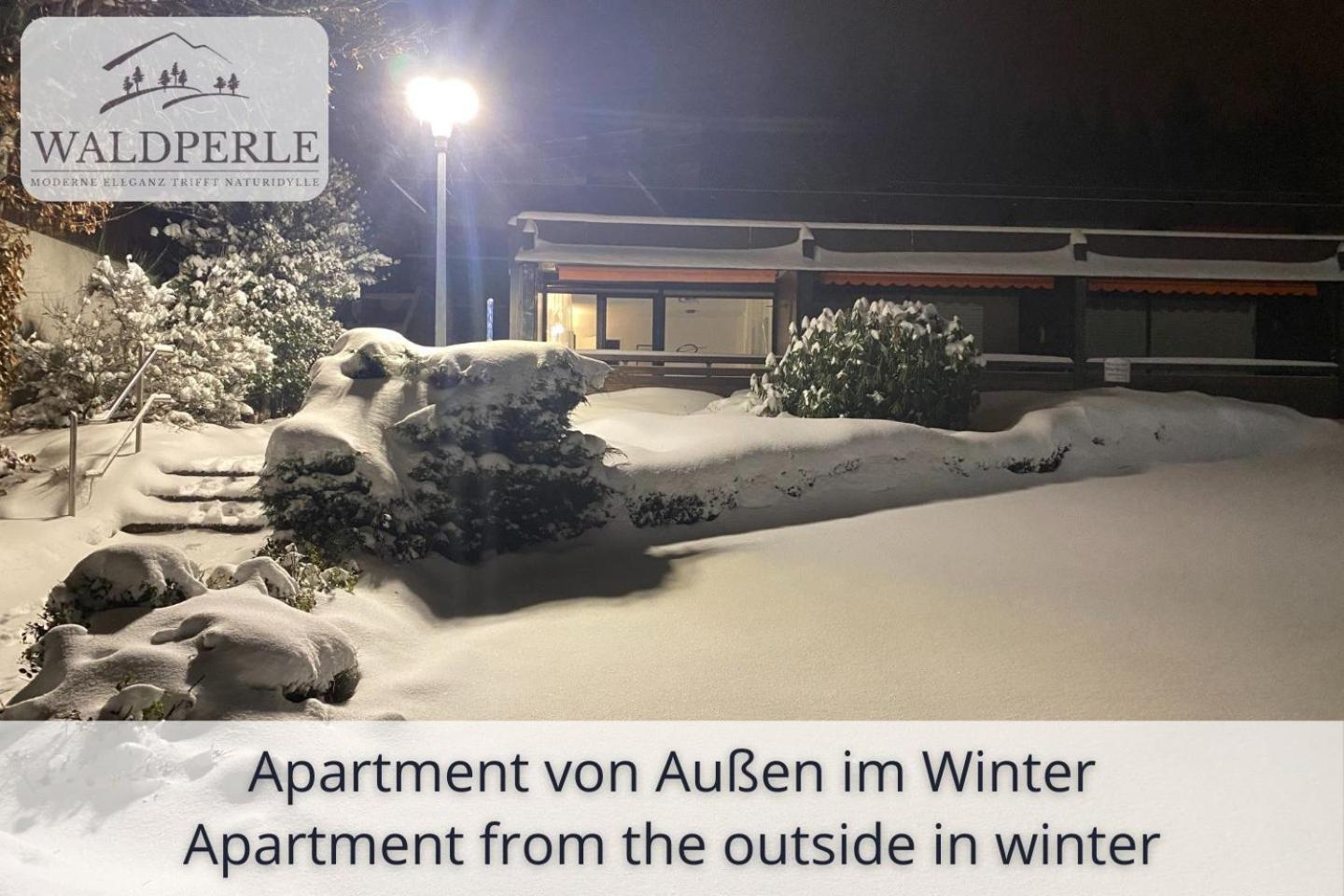 Exklusives 5-Sterne Apartment Waldperle Mit Indoor-Pool, Sauna, Top Lage Und Ausblick In Die Natur, Hunde Willkommen Schonach im Schwarzwald Eksteriør bilde