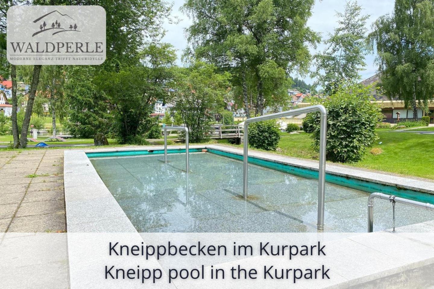 Exklusives 5-Sterne Apartment Waldperle Mit Indoor-Pool, Sauna, Top Lage Und Ausblick In Die Natur, Hunde Willkommen Schonach im Schwarzwald Eksteriør bilde