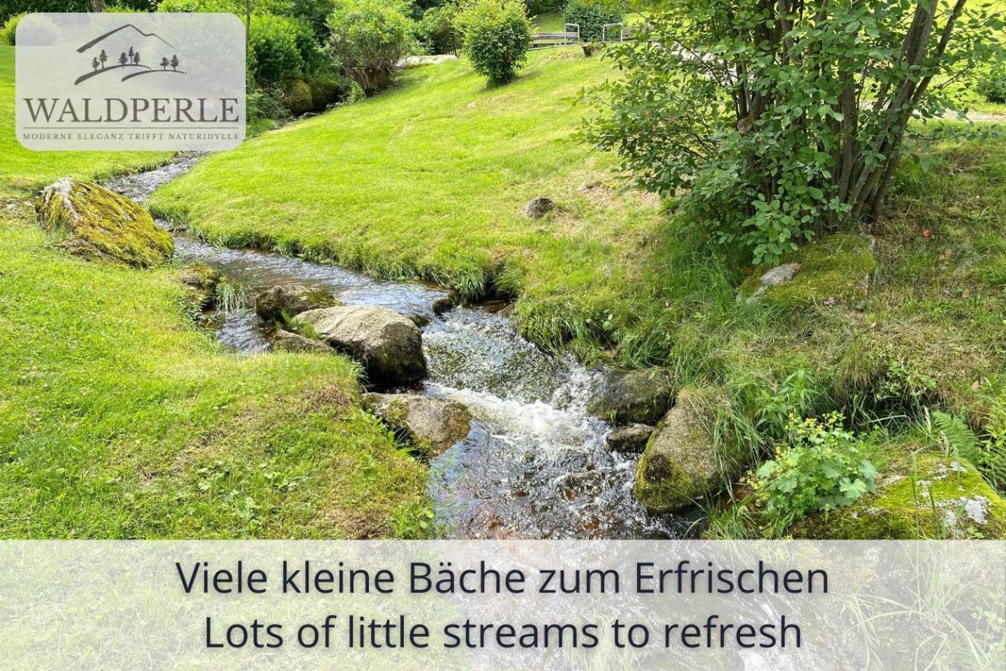 Exklusives 5-Sterne Apartment Waldperle Mit Indoor-Pool, Sauna, Top Lage Und Ausblick In Die Natur, Hunde Willkommen Schonach im Schwarzwald Eksteriør bilde