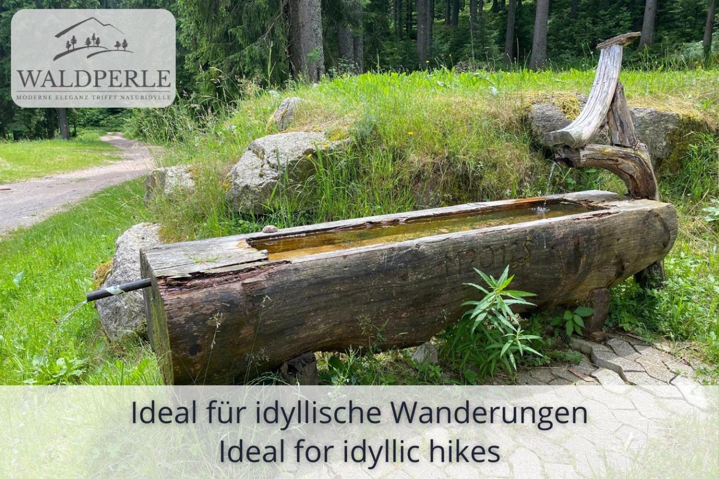 Exklusives 5-Sterne Apartment Waldperle Mit Indoor-Pool, Sauna, Top Lage Und Ausblick In Die Natur, Hunde Willkommen Schonach im Schwarzwald Eksteriør bilde