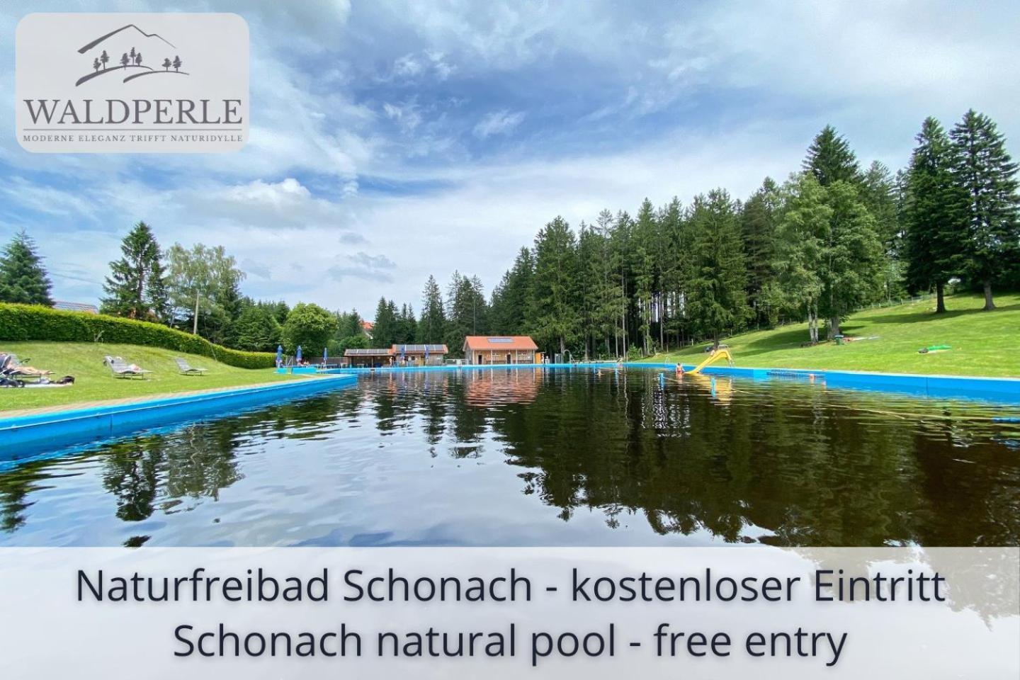 Exklusives 5-Sterne Apartment Waldperle Mit Indoor-Pool, Sauna, Top Lage Und Ausblick In Die Natur, Hunde Willkommen Schonach im Schwarzwald Eksteriør bilde