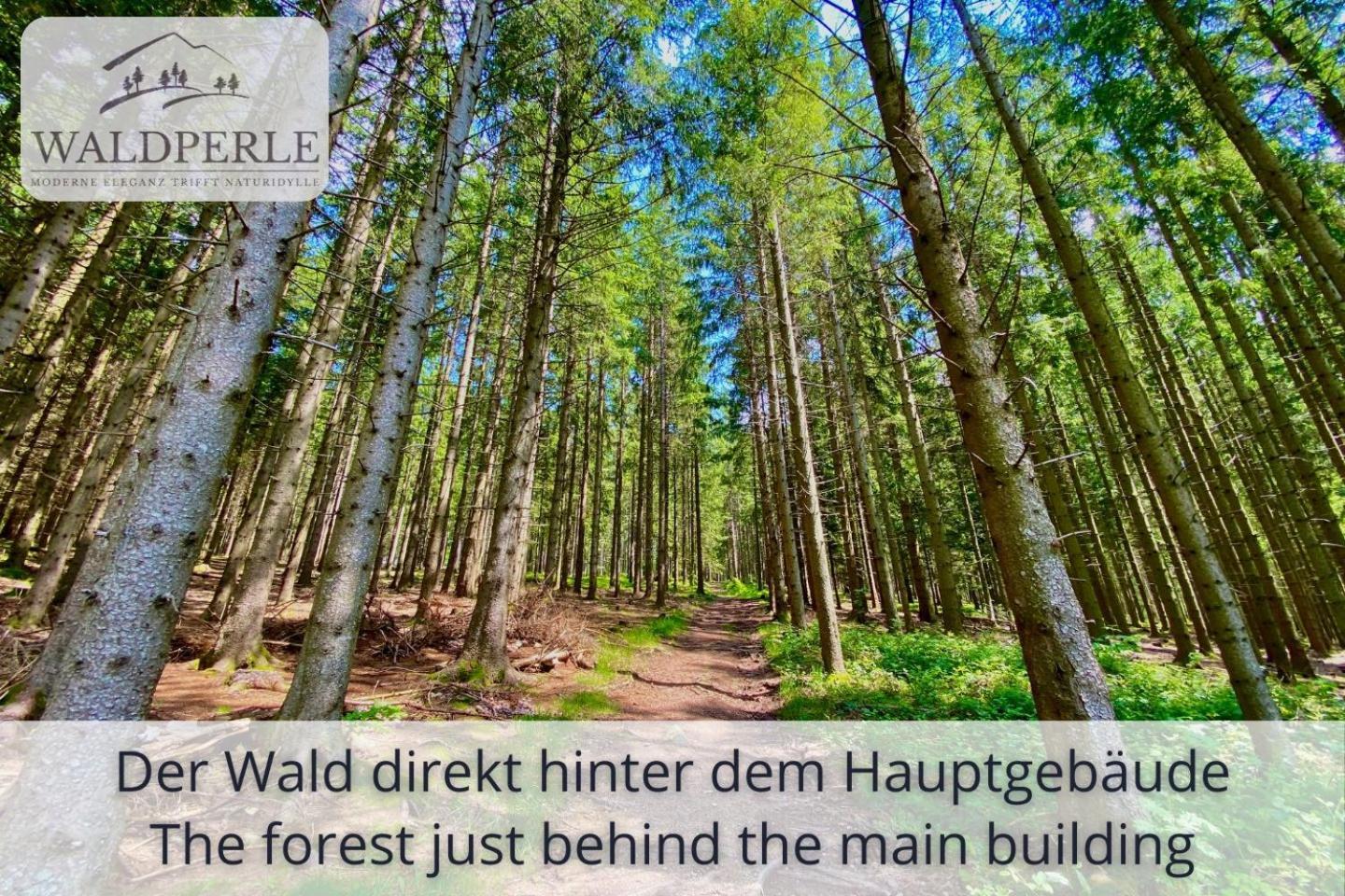 Exklusives 5-Sterne Apartment Waldperle Mit Indoor-Pool, Sauna, Top Lage Und Ausblick In Die Natur, Hunde Willkommen Schonach im Schwarzwald Eksteriør bilde