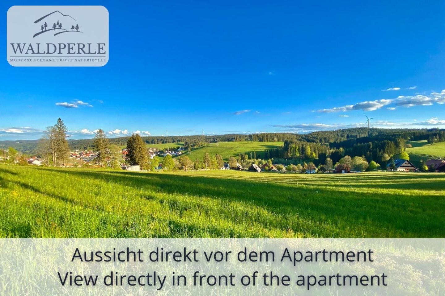 Exklusives 5-Sterne Apartment Waldperle Mit Indoor-Pool, Sauna, Top Lage Und Ausblick In Die Natur, Hunde Willkommen Schonach im Schwarzwald Eksteriør bilde