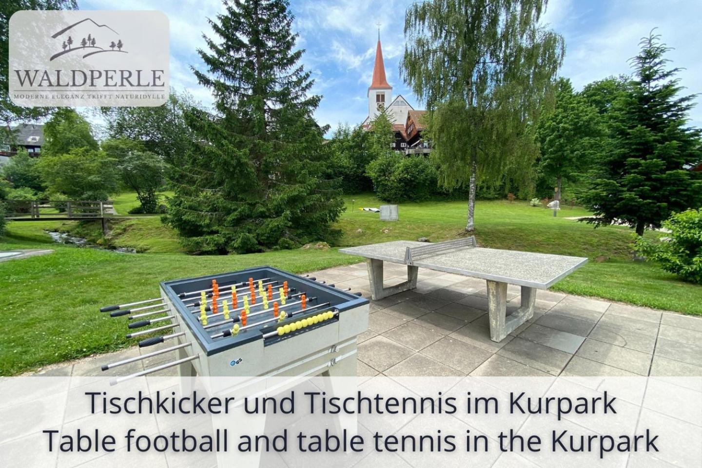 Exklusives 5-Sterne Apartment Waldperle Mit Indoor-Pool, Sauna, Top Lage Und Ausblick In Die Natur, Hunde Willkommen Schonach im Schwarzwald Eksteriør bilde