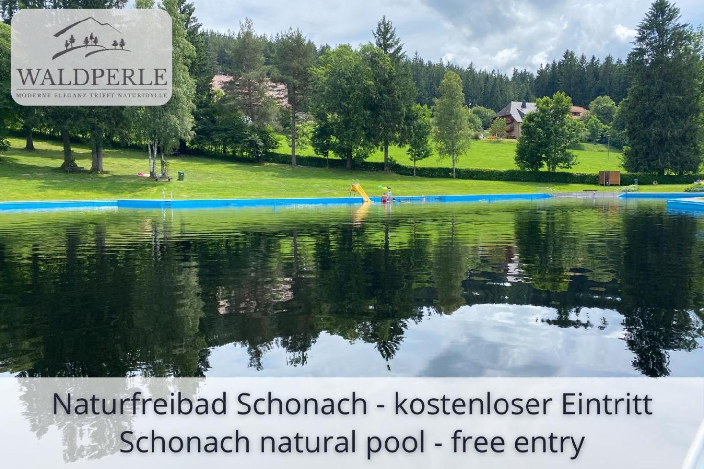 Exklusives 5-Sterne Apartment Waldperle Mit Indoor-Pool, Sauna, Top Lage Und Ausblick In Die Natur, Hunde Willkommen Schonach im Schwarzwald Eksteriør bilde