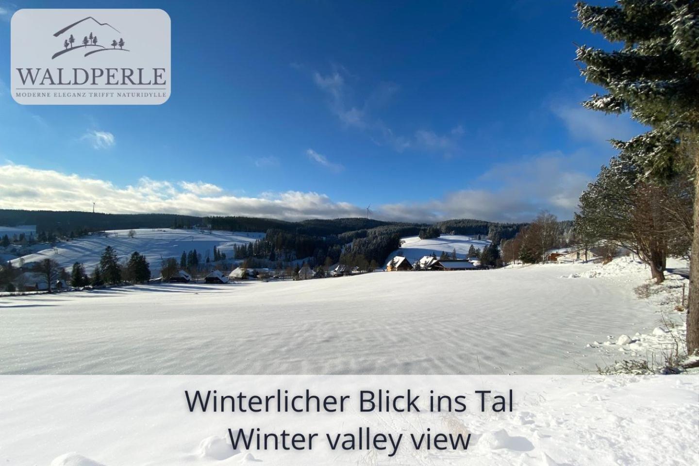 Exklusives 5-Sterne Apartment Waldperle Mit Indoor-Pool, Sauna, Top Lage Und Ausblick In Die Natur, Hunde Willkommen Schonach im Schwarzwald Eksteriør bilde