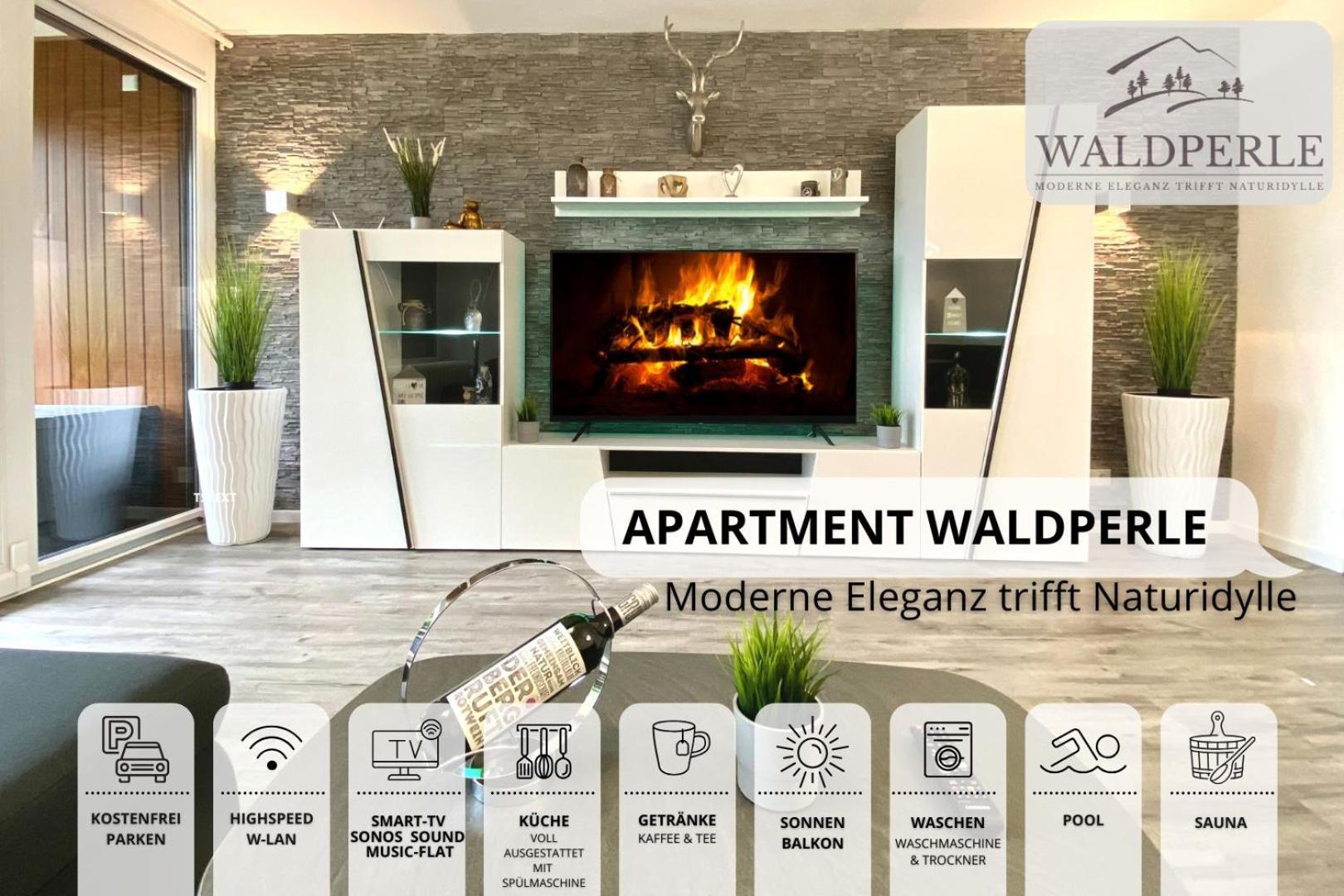 Exklusives 5-Sterne Apartment Waldperle Mit Indoor-Pool, Sauna, Top Lage Und Ausblick In Die Natur, Hunde Willkommen Schonach im Schwarzwald Eksteriør bilde